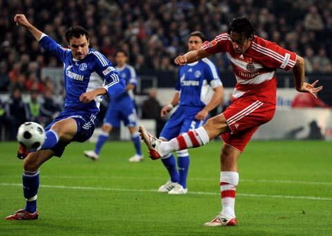 动文化传播 动文化传播